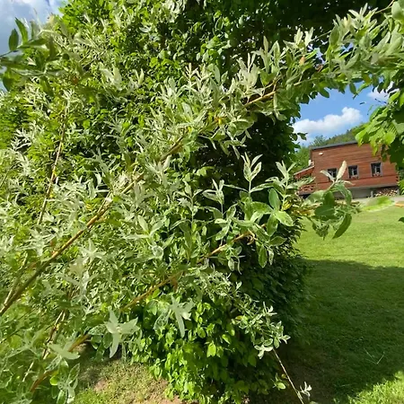 Le Du Bonheur à